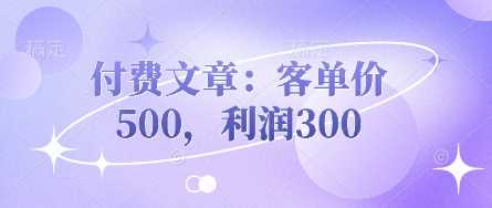 付费文章:客单价500,利润300-九才资源网