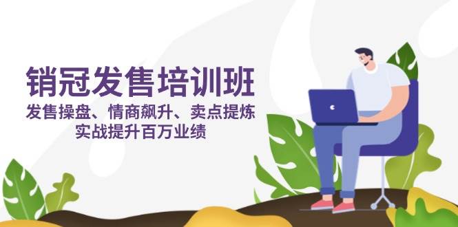 销冠发售培训班:发售 操盘+情商 飙升+卖点 提炼,实战提升百万业绩-九才资源网