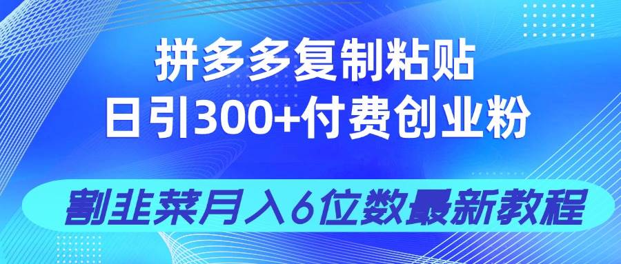 (14232期)拼多多复制粘贴日引300+付费创业粉,割韭菜月入6位数最新教程!-九才资源网