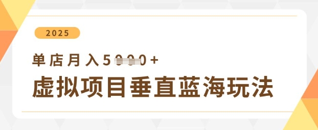 虚拟项目垂直玩法,实现单店月入5k+-九才资源网