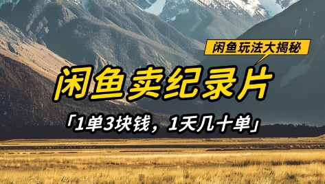 闲鱼卖纪录片1单3块钱,1天几十单,项目稳定有潜力-九才资源网