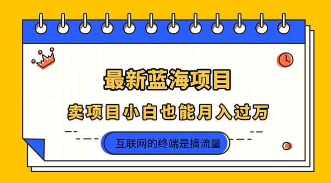 (14289期)2025年最新蓝海项目,卖项目小白也能月入过万-九才资源网