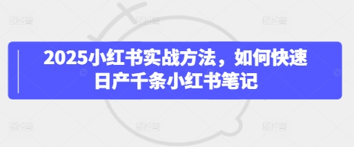 2025小红书实战方法,如何快速日产千条小红书笔记-九才资源网