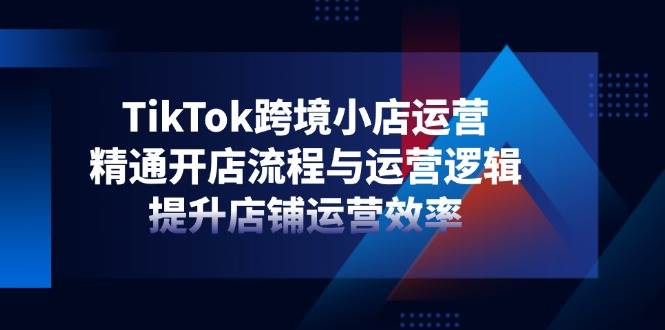 (14369期)TikTok跨境小店运营,精通开店流程与运营逻辑,提升店铺运营效率-九才资源网