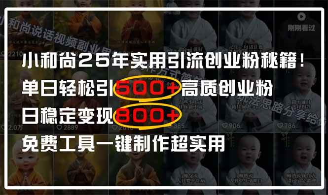 (14436期)小和尚2025年实用引流秘籍!单日轻松引500+高质量创业粉,日变现800+,…-九才资源网