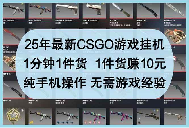(14439期)25年最新CSGO游戏挂机,1分钟1件货,1件货赚10元 纯手机操作 无需游戏经验-九才资源网