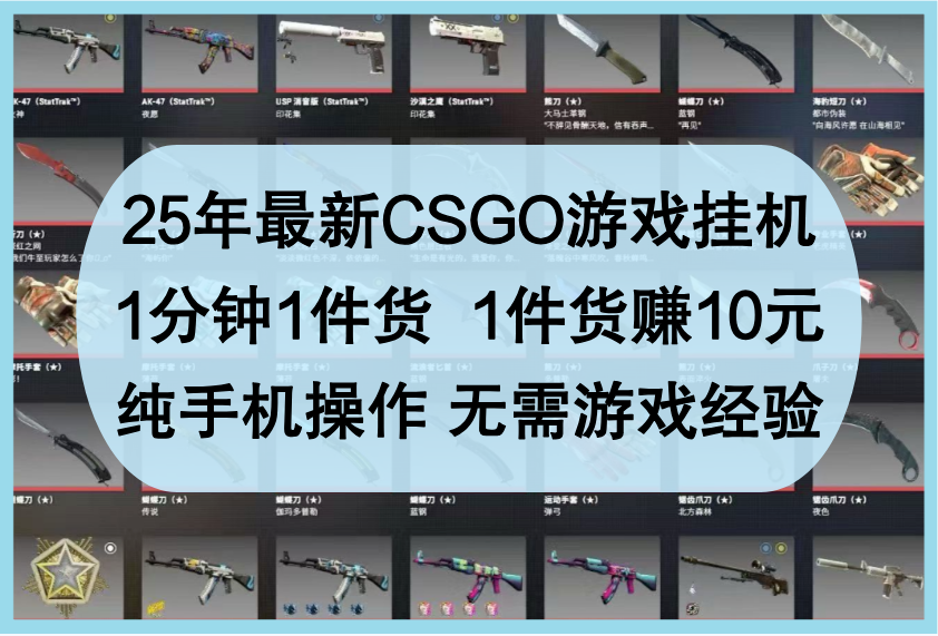 25年最新CSGO游戏挂机,1分钟1件货,1件货赚10元,纯手机操作,无需游戏经验-九才资源网
