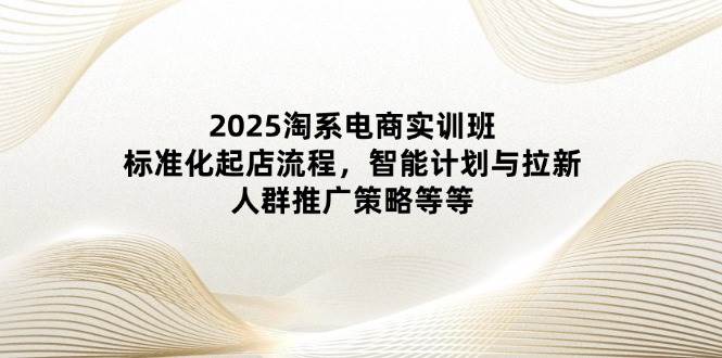 (14522期)2025淘系电商实训班:标准化起店流程,智能计划与拉新,人群推广策略等等-九才资源网