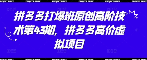 拼多多打爆班原创高阶技术第43期,拼多多高价虚拟项目-九才资源网
