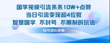 国学视频引流条条10W+点赞当日引流变现超4位数-九才资源网