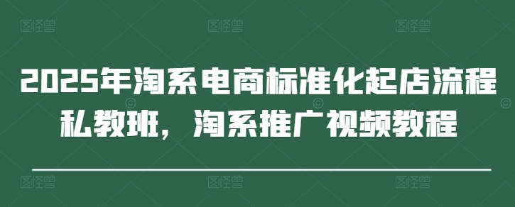 2025年淘系电商标准化起店流程私教班,淘系推广视频教程-九才资源网
