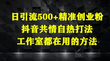 日引流500+精准创业粉,抖音共情自热打法,工作室都在用的方法-九才资源网