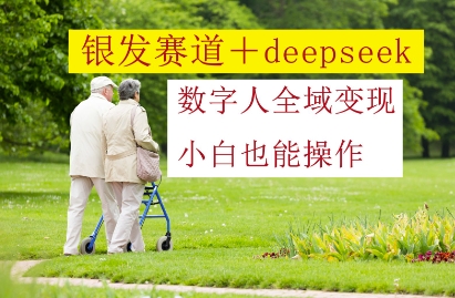 银发赛道+deepseek数字人全域变现,小白也能操作-九才资源网