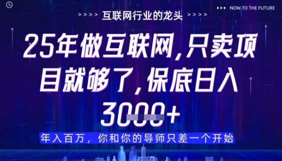 什么!25年你还在找项目做?风口早就变了,卖项目才是稳挣不赔【揭秘】-九才资源网