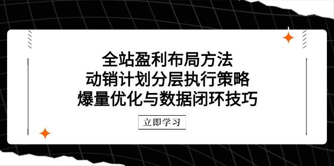 (14698期)全站盈利布局方法:动销计划分层执行策略,爆量优化与数据闭环技巧-九才资源网