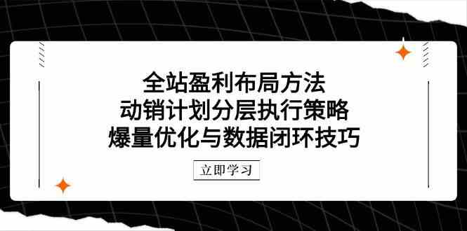 全站盈利布局方法:动销计划分层执行策略,爆量优化与数据闭环技巧-九才资源网