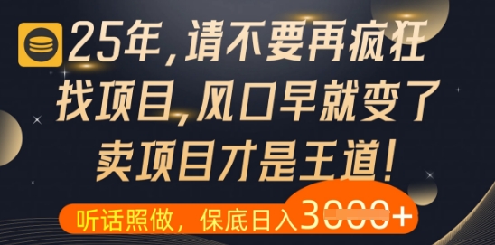 什么?25年你还在疯狂找项目做,醒醒吧,看完这些你全都懂了【揭秘】-九才资源网