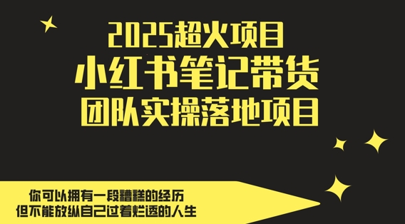 2025超火项目,副业最佳选择,小红书笔记带货团队实操落地项目,,轻松日入5张-九才资源网