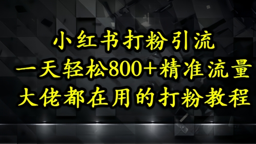 小红书打粉引流,一天轻松500+精准流量,大佬都在用的打粉教程-九才资源网
