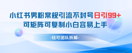 小红书男粉常规引流不封号日引99+变现简单 可矩阵可复制小白容易上手-九才资源网