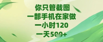 你只管截图,一部手机在家做,苹果安卓都可以,一天5张+【揭秘】-九才资源网