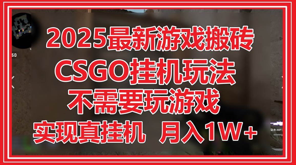 (14743期)2025最新游戏搬砖,CSGO挂机,不需要玩游戏,实现真挂机,月入1W+-九才资源网
