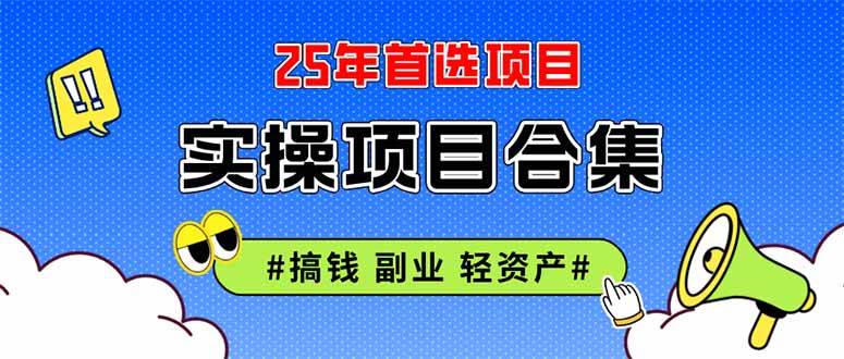 (14767期)2025实操项目合集 挂机类型 直播类型 轻资产创业类型 课程分享各项目介…-九才资源网