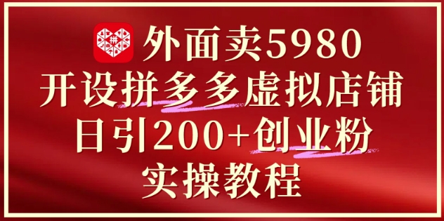 外面卖5980开设拼多多虚拟店铺:单日引流200+创业付费粉实战教程-九才资源网