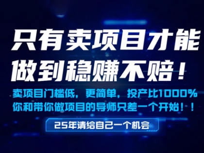 只有卖项目才能做到稳挣不赔,门槛低,更简单,你也可以年入百个W【揭秘】-九才资源网