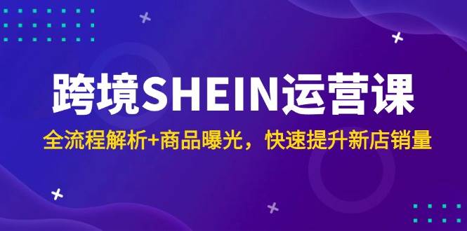 (14832期)跨境SHEIN运营课,全流程解析+商品曝光,快速提升新店销量-九才资源网
