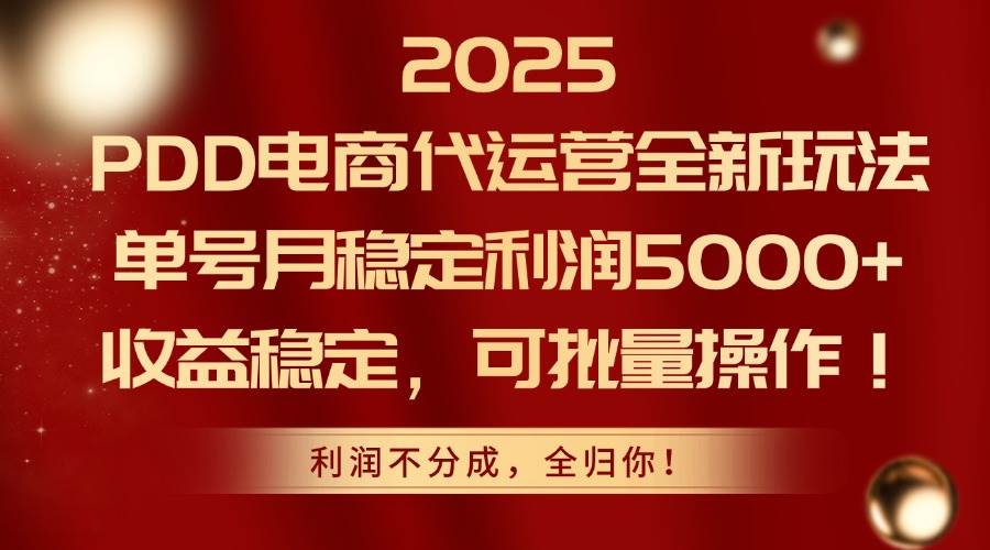 (14839期)2025PDD电商代运营全新玩法,单号月稳定利润5000+,收益稳定,可批量操作-九才资源网