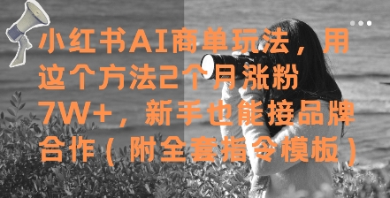 小红书AI商单玩法,用这个方法2个月涨粉7W+,新手也能接品牌合作(附全套指令模板)-九才资源网