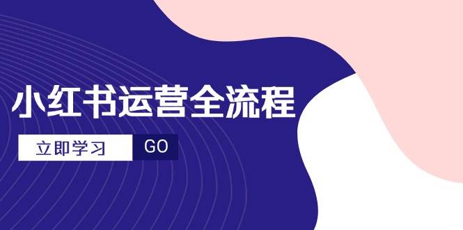 (14861期)小红书运营全流程,爆款选题文案,视频制作技巧,进阶达人宝典-九才资源网