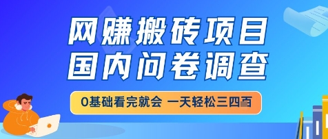网创搬砖项目,国内问卷调查,小白轻松上手,一天三四张的也不难,干就完了【揭秘】-九才资源网