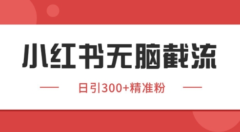 小红书截流同行客源,独家野路子获客玩法 日引200+暴力获客【揭秘】-九才资源网