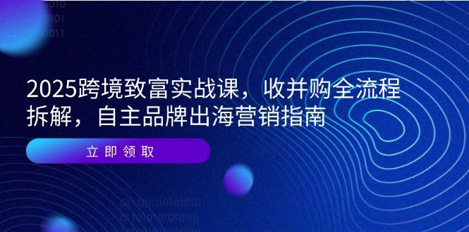 (14975期)2025跨境致富实战课,收并购全流程拆解,自主品牌出海营销指南-九才资源网