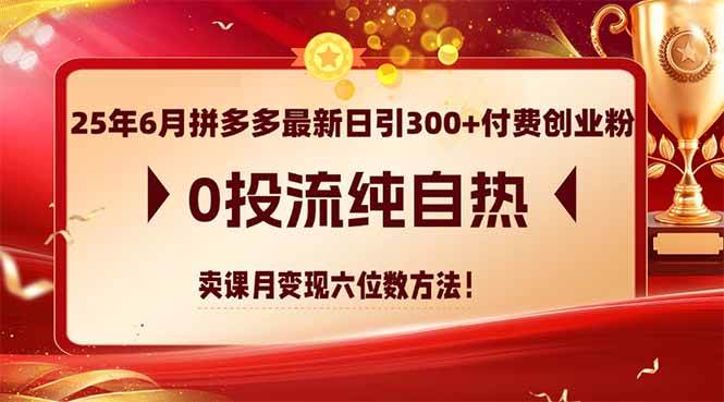 (14989期)25年6月拼多多最新日引300+付费创业粉,0投流纯自热 卖课月变现六位数方法-九才资源网