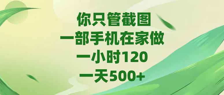 (15039期)你只管截图,一部手机在家做,一小时120,-天500+-九才资源网