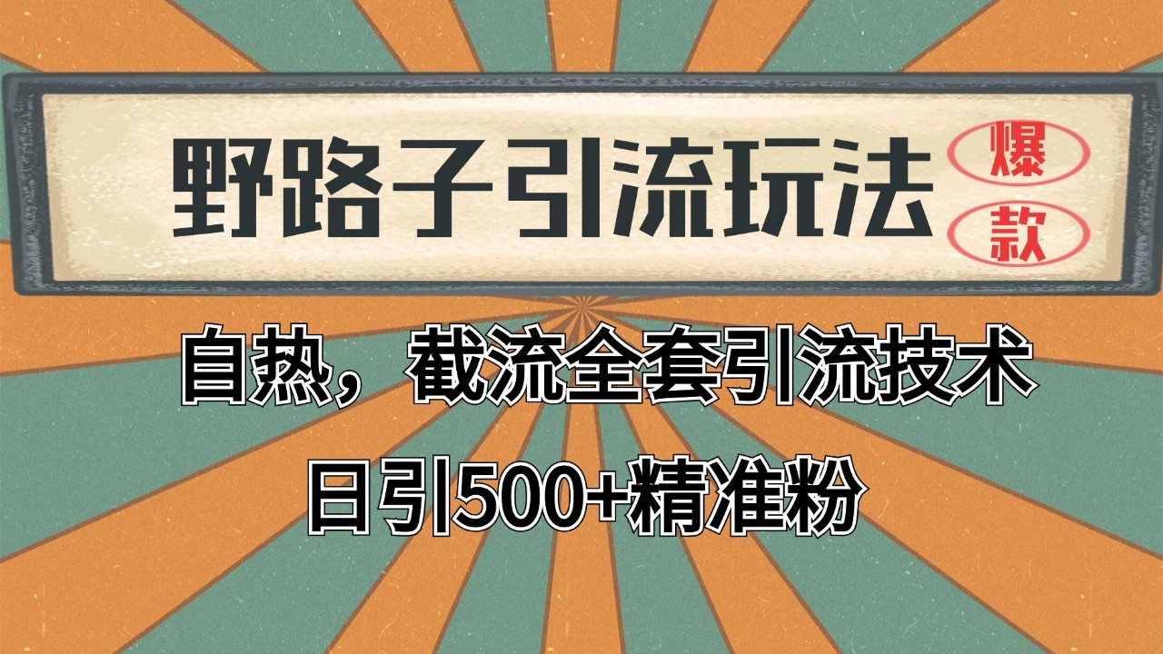 2024首发野路子引流玩法截流自热全平台打法,全自动引流【日引2000+精准客户】-九才资源网
