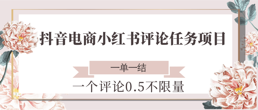 抖音电商小红书评论任务项目,一个评论0.5,一单一结 不限量-九才资源网