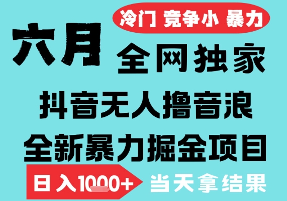 2025年6月高爆抖音无人直播最新撸音浪掘金项目,无脑日入1k+,低门槛小白可做,可矩阵放大【揭秘】-九才资源网