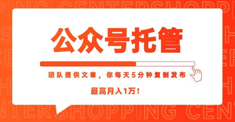 (15109期)【公众号托管 】我提供文章,你每天5分钟复制发布,最高月入1W-九才资源网