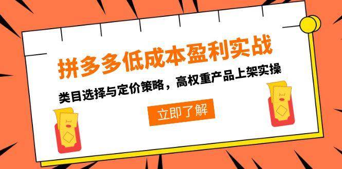 (15143期)拼多多低成本盈利实战,类目选择与定价策略,高权重产品上架实操-九才资源网