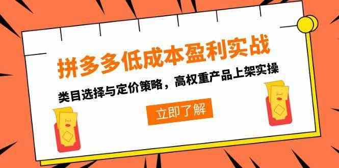 拼多多低成本盈利实战,类目选择与定价策略,高权重产品上架实操-九才资源网