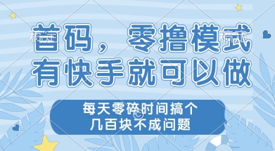 首码零撸项目,有快手就可以做,每天业务时间搞个几张不是问题【揭秘】-九才资源网