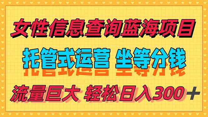 (15216期)稳定日入300+,小众信息查询蓝海项目,全程懒人式托管,解放你的时间-九才资源网
