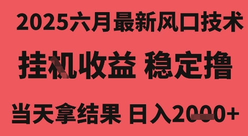2025六月最新风口技术,无人挂G撸礼物,长期稳定 一个小时收益2k+,小白当天拿结果【揭秘】-九才资源网