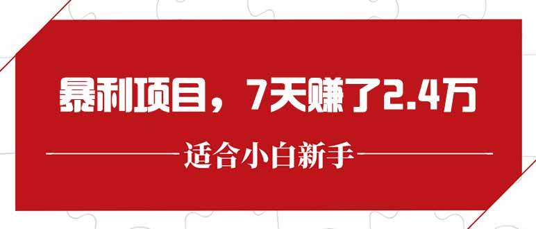 (15228期)最新暴利项目,每单收益轻松在300以上,7天赚了2.4万-九才资源网