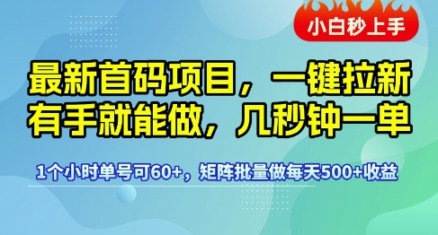 最新首码项目,一键拉新有手就能做,几秒钟一单,1个小时单号可60+,矩阵批量做每天5张【揭秘】-九才资源网