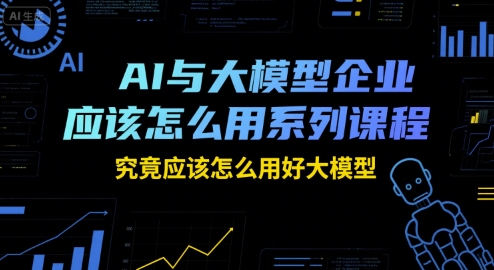 AI与大模型企业应该怎么用系列课程,究竟应该怎么用好大模型-九才资源网